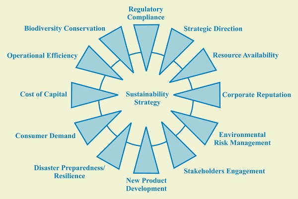 consulting sustainability strategy chart